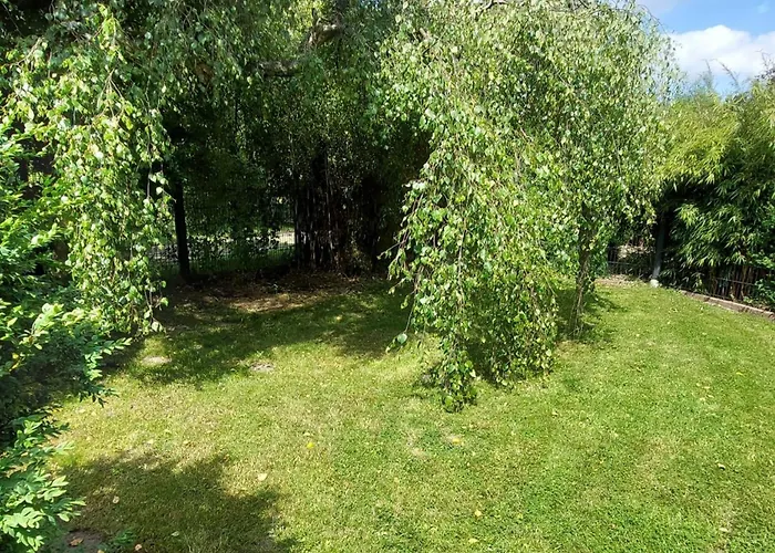 Loose Appartement Tecklenburg